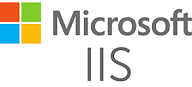 IIS Logo.png